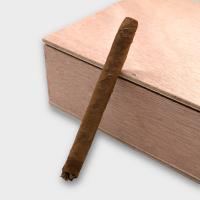 C.Gars Ltd Double Dutch Blend Wilde Senoritas - Box of 50