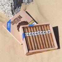 Foundation Charter Oak Connecticut Shade Petit Corona Cigar - 1 Single - C.Gars Exclusive