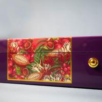 Chateau Diadem Splendor Robusto Extra Cigar - Box of 20