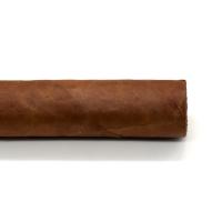 Davidoff Chefs Edition 2025 Toro Cigar - 1 Single