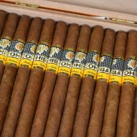 Cohiba Panetelas Cigar - Box of 25