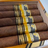 Cohiba Robusto Supremos Cigar (Limited Edition 2014) - Box of 10