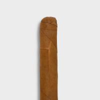 Conquistador Panatella Cigar - 1 Single