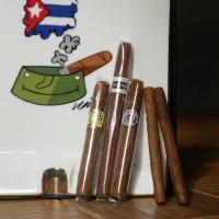 CGars Ltd Cigar Ashtray -  Cuban Dream Short Smoke Sampler - 5 Cigars and Ashtray