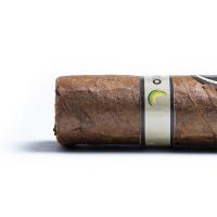 Davidoff Escurio Petit Robusto Cello Cigar - 1 Single