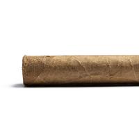 Davidoff Signature 2000 Tubos Cigar - 1 Single