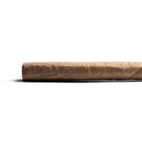 Davidoff Winston Churchill Aristocrat Churchill Cigar - 1 Single (End of Line)