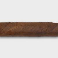 Davidoff Signature Exquisitos Cigar - Pack of 10