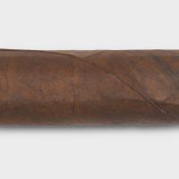 Zino Honduras Robusto Cigar - 1 Single
