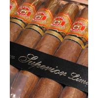 Arturo Fuente Don Carlos Robusto Cigars - Box of 15