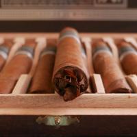 Drew Estate Liga Privada 10 Seleccion De Mercado Cigar - Box of 10