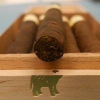 De Olifant Limited Edition Brasil Corona Panatella Cigar - 1 Single