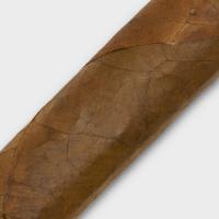 Chateau Diadem Monkey Business Robusto Cigar - 1 Single