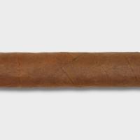 Plasencia Dominique Seleccion 2026 Exclusive Lancero - Box of 10