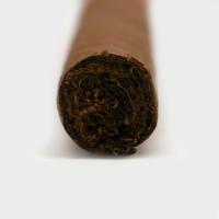 Plasencia Dominique Seleccion 2026 Exclusive Lancero - 1 Single