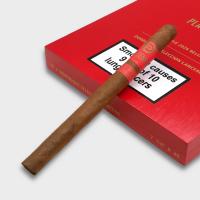 Plasencia Dominique Seleccion 2026 Exclusive Lancero - Box of 10