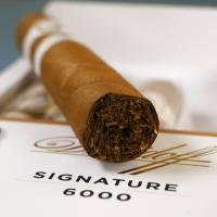 Davidoff Signature 6000 Robusto Cigar - Pack of 4