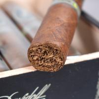 Davidoff Escurio Robusto Cello Cigar - 1 Single