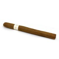 Davidoff Signature Ambassadrice Cigar - 1 Single (End of Line)