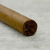 Don Tomas Clasico Robusto Cigar - 1 Single