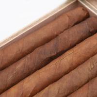 Dutch Label Senoritas Brazil Cigar - Box of 50