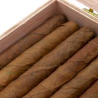 Dutch Cigars Wilde Senoritas - Box of 50