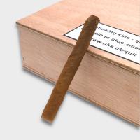 Dutch Cigars Wilde Senoritas - Box of 50