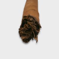 Dutch Cigars Wilde Senoritas - Box of 50