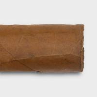 EGM Cigars Tiburones Tubos - 1 Single