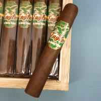 Eagle by Rocky Patel Robusto Cigar - Box of 20