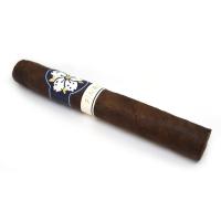 Room 101 Farce Maduro Robusto Cigar - 1 Single (End of Line)