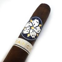Room 101 Farce Maduro Robusto Cigar - 1 Single (End of Line)
