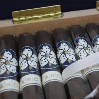 Room 101 Farce Maduro Corona Papi Chulo Cigar - Box of 20