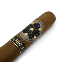 Room 101 Farce Original Robusto Cigar - 1 Single