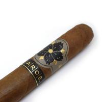 Room 101 Farce Original Toro Cigar - 1 Single (End of Line)