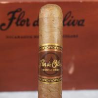 Flor De Oliva Robusto Cigar - 1 Single