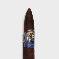 Foundation 10 Year Aniversario Salomon Cigar - 1 Single