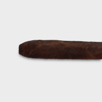 Foundation 10 Year Aniversario Salomon Cigar - 1 Single