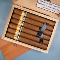 Foundation Olmec Claro Double Corona Cigar - Box of 12