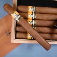 Foundation Olmec Claro Double Corona Cigar - Box of 12