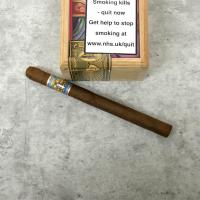 El Gueguense The Wise Man Lancero Cigar - Box of 13