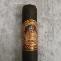 Gurkha Seduction Robusto Cigar - 1 Single