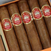 H. Upmann Half Corona Cigar - Tin of 5