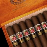 Hoyo de Monterrey Monterreyes No. 4 Edicion Limitada 2021 Cigar - 1 Single