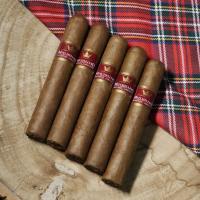 FLASH SALE - Humidor Top Up - Mitchellero Robusto Cigar Sampler - 5 Cigars