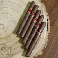 FLASH SALE - Humidor Top Up - Mitchellero Corona Sampler - 5 Cigars