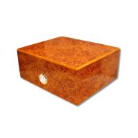 Cambridge Burl Cigar Humidor - Up to 40 Cigar Capacity