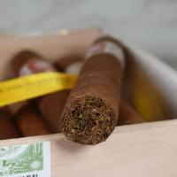 H. Upmann Connoisseur No. 2 Cigar - 1 Single
