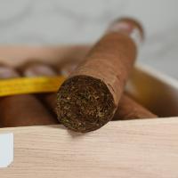 H. Upmann Connoisseur A Cigar - 1 Single