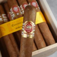 H. Upmann Connoisseur A Cigar - Cabinet of 25